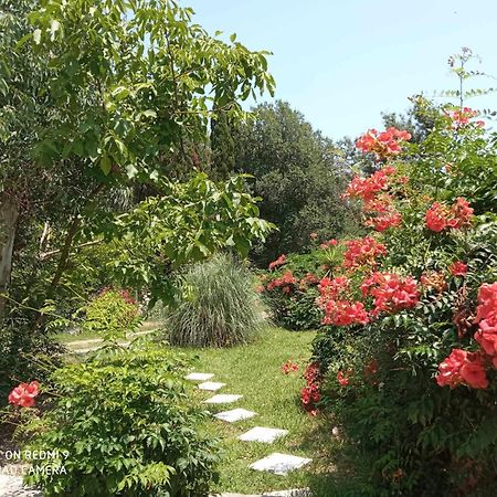 Errika Διαμέρισμα Ύψος Εξωτερικό φωτογραφία