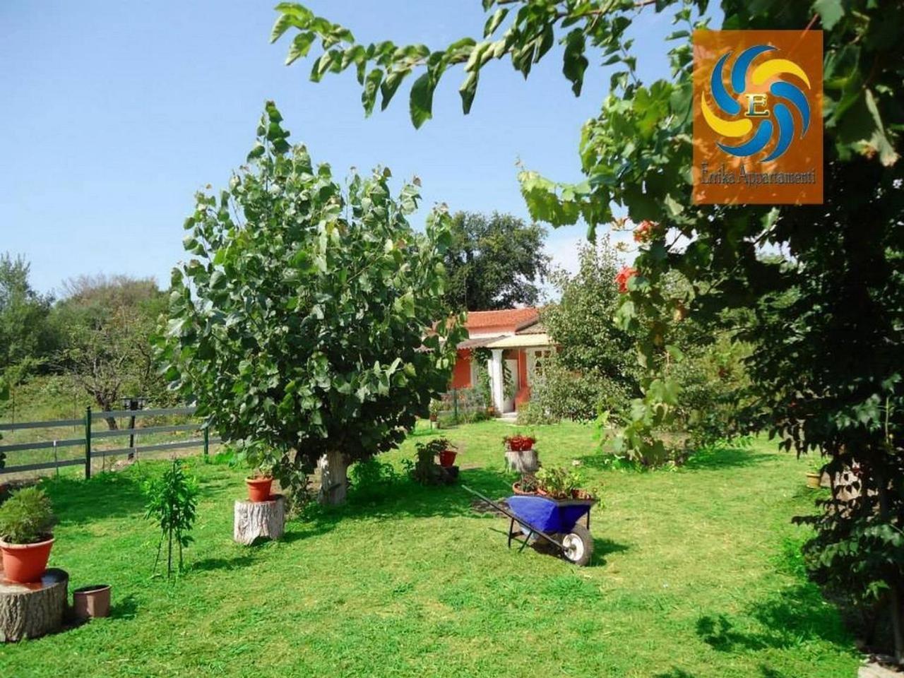 Errika Διαμέρισμα Ύψος Εξωτερικό φωτογραφία